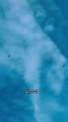 Exploring the Art of Kabutarbazi