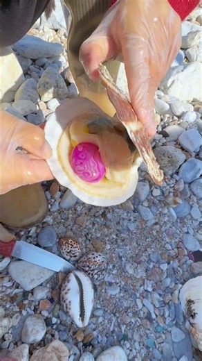 Sea Agate and Sea Crystal: Finding Hidden Treasures on the Shore and rare pearl