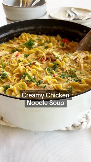 Creamy Chicken Noodle Soup Recipe | Easy Family Recipes