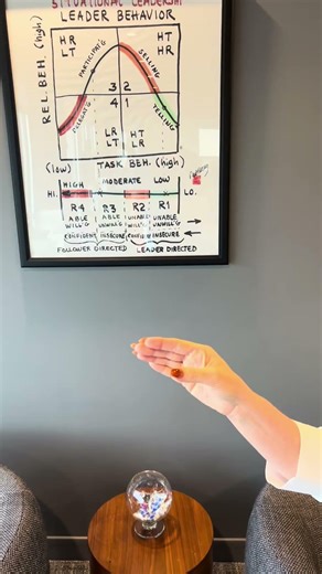 We just need the Situational Leadership® Model 😇 #situationalleadership #workplacehumor