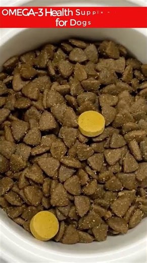 Omega-3 Dog & Cat Supplement – Stop Allergies & Boost Skin, Coat & Immunity!