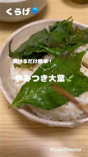 大葉余った時の消費に！