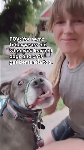 🧠 Is your senior pet showing signs of dementia? Use the DISHAA-LV checklist to help spot changes