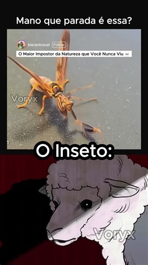 O Inseto Impostor! 💀 #nobatidao