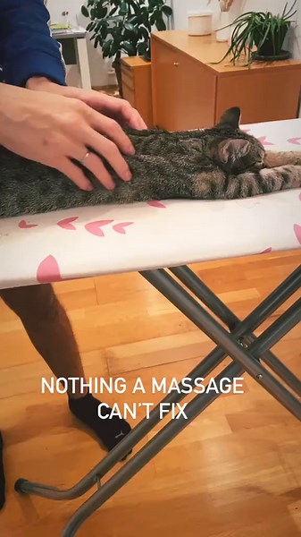 Self-care isn’t just for humans. 💆‍♀️ #massage #cat #toebeans #meow #catsoftiktok