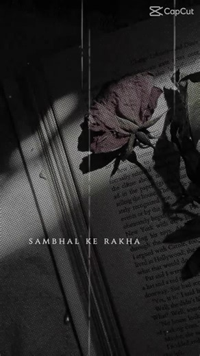 ✨𝚌𝚞𝚝𝚎 𝚜𝚎𝚎 cat✨ (@user745645619)’s videos with original sound - ✨𝚌𝚞𝚝𝚎 𝚜𝚎𝚎 cat✨