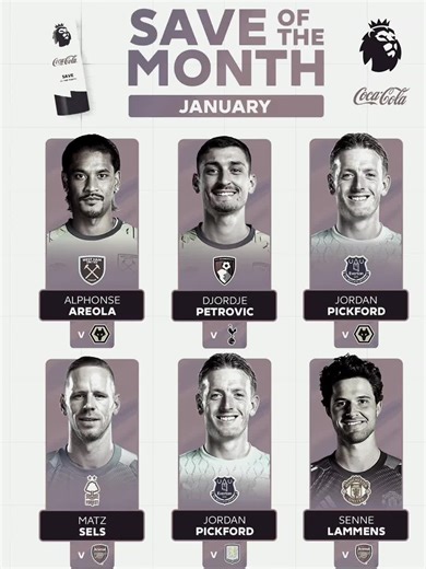 Pickford's Outstanding Saves in EPL - January Highlights