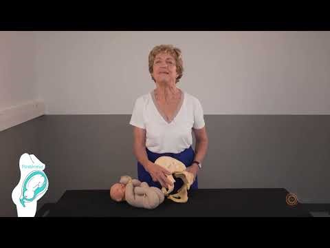 CHOOSING YOUR DELIVERY METHOD. DELIVERING ON YOUR SIDE.