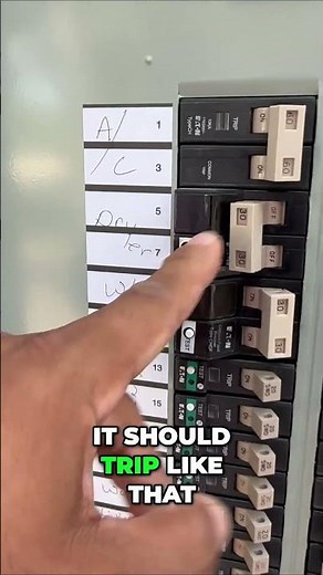Breaker Switch Fails to Trip: What's Wrong? #shorts