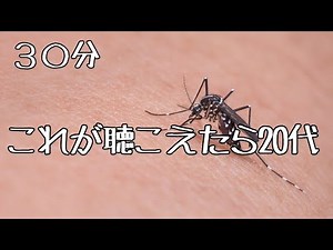 【聴力検査】これが聴こえたら20代!【モスキート音】17khz #モスキート音 #モスキートーン
