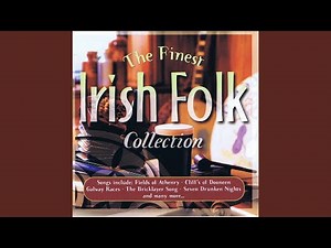 The Sick Notes / Murphy & the Bricklayers Song /