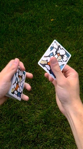 @squareupshorts on Instagram: "Cardistry the long way #cardistry"