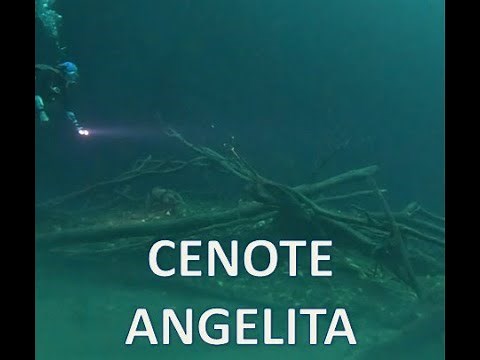 Cenote ANGELITA Scuba diving in Riviera Maya. One of the most extraordinary cenotes in the world