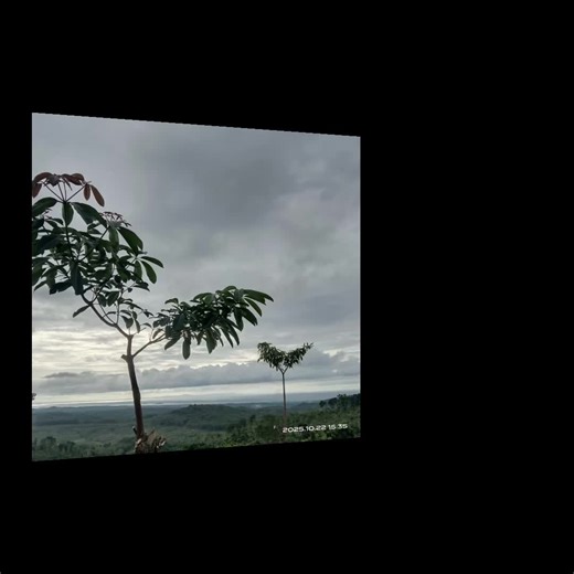 Sunset of Java: Discover Eco Camp in Banten