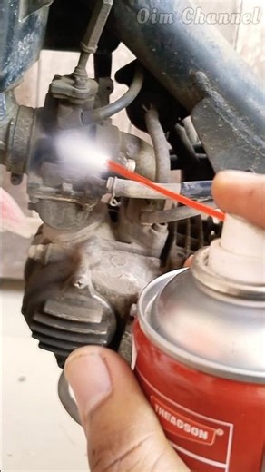 Carburetor & Injector Cleaner