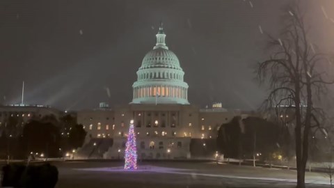 US: Washington DC sees first measurable December snow in eight years