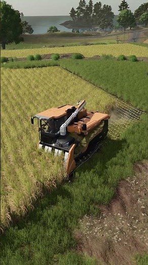 Rice is new to Farming Simulator 25!