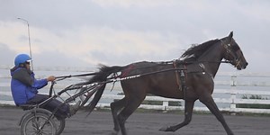 Shenandoah Downs prepares for 10th year of fall harness racing season