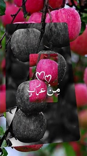 Naat Sharif in honor of the arrival of Prophet Muhammad (Peace Be Upon Him)