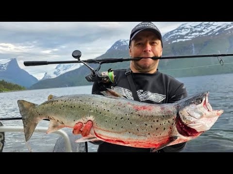 Ловим лосося - форель в прямом эфире 🔥 Рыбалка в Норвегии