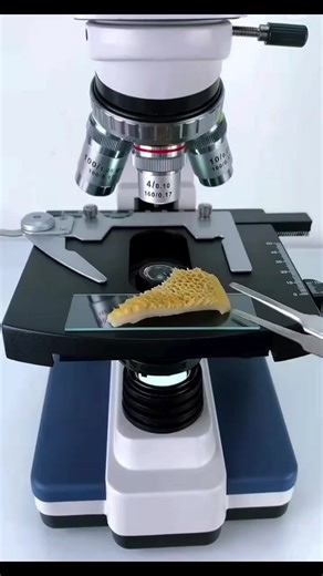 Recetas y secretos del mondongo