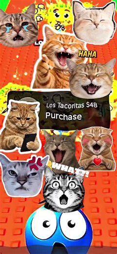 Compilation cat sticker #cat #funny #roblox