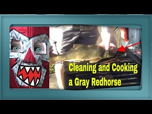 Cleaning and cooking a Suckerfish (Gray Redhorse fish) 🎣