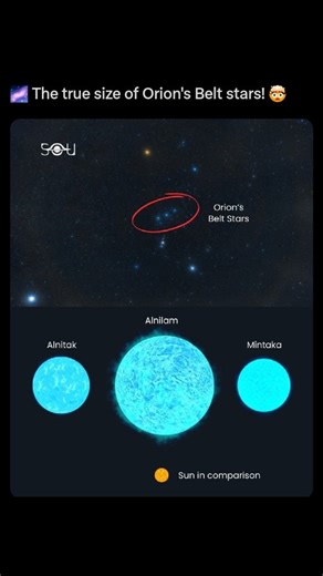 Space | Astronomy | Discovery on Instagram: "This incredible visual truly puts the immense scale of Orion's Belt stars into perspective. Alnitak, Alnilam, and Mintaka, seemingly small dots from Earth, are actually colossal stellar giants, dwarfing our own Sun by comparison. It's a humbling reminder of the vast sizes of celestial bodies scattered across our galaxy and the sheer scale of the universe beyond our solar system."