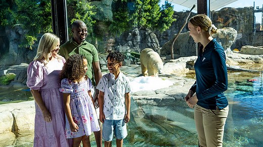 Behind The Scenes Polar Bear Shores at Sea World