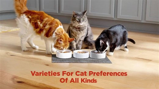 (12 pack) Meow Mix Tenders in Sauce with Turkey and Giblets Wet Cat Food, 2.75 oz cup (Packaging And Formulation Updates Underway)