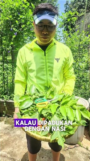 Lalapan Daun Pepaya & Kedondong Pagar 🍃 Segar, Unik, dan Bikin Nambah Nasi!