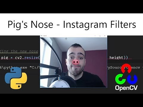Pig's nose (Face instagram filters) - Opencv with Python