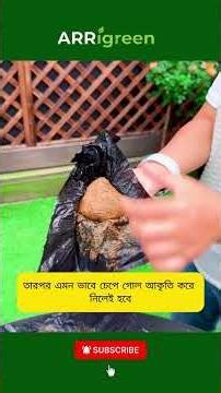 Fastest Fruit Tree Propagation Method Ever Tried! 🍃🌱