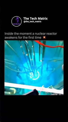 Inside a Nuclear Reactor! #technology #engineering #nuclear #insight