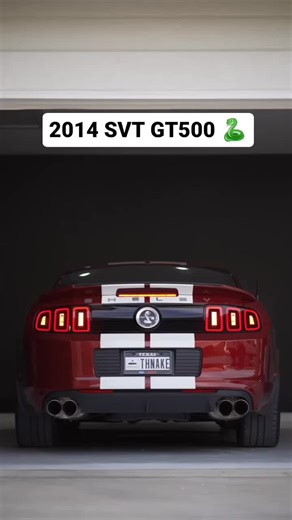 #mustangsvtmadness #svtmadness #gt500 #gt350 #mustang