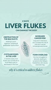 1.1K views | 缾 4 Ways Liver Flukes Can Damage Your Body (And Why You...
