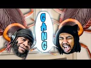 A Game Where I am A Roach in The GHETTO!? WHAT?!| Cockroach Simulator