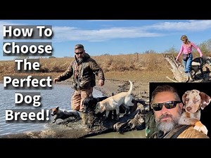 How To Choose The Perfect Dog Breed | In Depth Conversation & Comparison