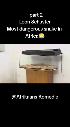 Afrikaans_Komedie on TikTok