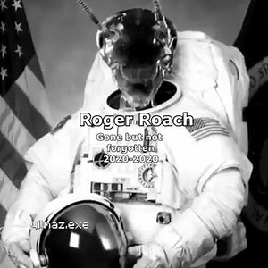 32K views · 303 reactions | Gabber Meeting on Reels | Facebook