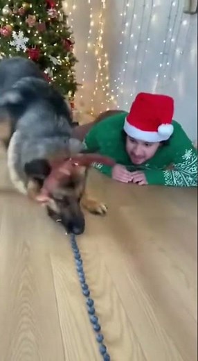 WHAT did I just watch 💀