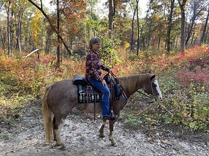 Camp & Ride Shimek State Forest, SE Iowa with Iowatrailrider