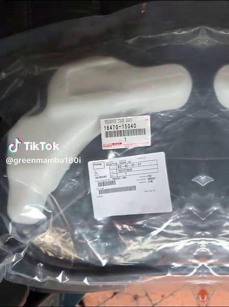 Stylish Water Bottle for Green Mamba