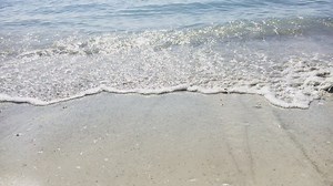 🌊 Wednesday, wavesday, or both? 🌊 | TradeWinds Resort