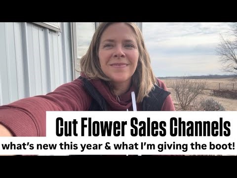 Cut Flower Sales Channels : where I’ve found success selling blooms from the flower farm : Zone 5