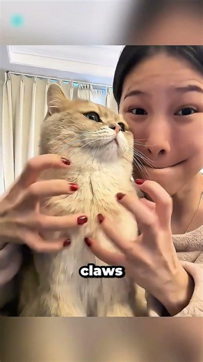 The Ultimate Cheat Code for Cat Owners 🐈‍⬛🤫