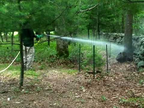 Protect yourself from Ticks in your yard