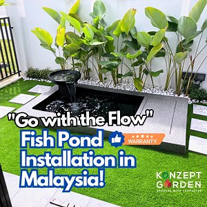 15 reactions | Zen Bio Mini Koi Pond is designed for small spaces...