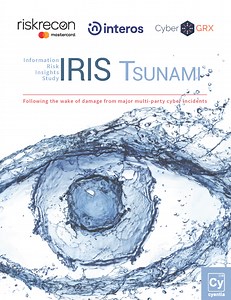 Information Risk Insights Study - Cyentia Institute