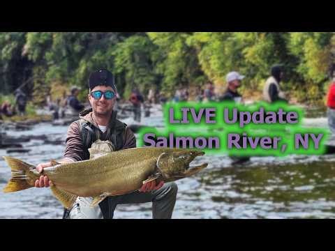 Salmon River Report #live #fishing